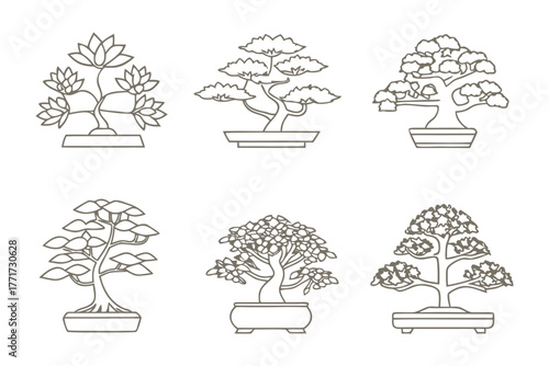 Bonsai Collection: A detailed line art illustration of six different bonsai trees, each meticulously crafted and showcasing unique forms and styles.