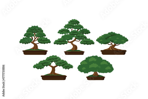 Bonsai Trees Illustration: A collection of meticulously crafted bonsai trees, each showcasing unique artistic pruning techniques, offering a glimpse into the art of miniature landscaping.