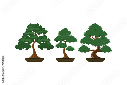 Bonsai Trio: A serene composition featuring three meticulously crafted bonsai trees, each showcasing unique forms and textures, symbolizing patience and artistry.