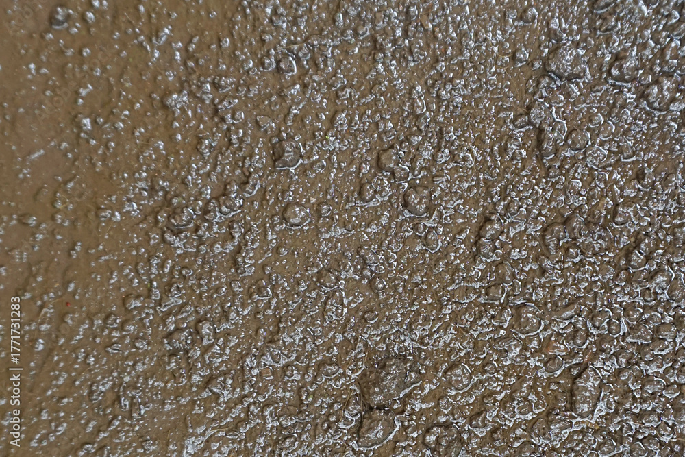 Obraz premium Detailed Texture of Wet Soil Surface in the Garden After Rain, Showing Moist Mud and Natural Earth Texture. Great for Backgrounds, Environment, and Texture Overlays.
