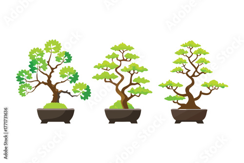 Serene Bonsai Collection: A collection of meticulously shaped bonsai trees, each a miniature masterpiece of nature, evokes tranquility and the art of cultivation.