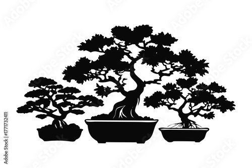 Serene Bonsai Collection: A harmonious grouping of meticulously cultivated bonsai trees, each one a testament to the art of patience, balance, and the beauty of miniature landscapes.