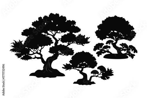 Japanese Bonsai Trio Silhouette: This image shows an elegant depiction of Japanese bonsai trees. The silhouette of carefully shaped bonsai forms a captivating design. A serene and artistic aesthetic
