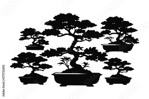 Bonsai Ensemble: An elegant assortment of Bonsai trees, each a miniature masterpiece of nature's artistry, meticulously shaped and cultivated to showcase the timeless beauty of the ancient practice.