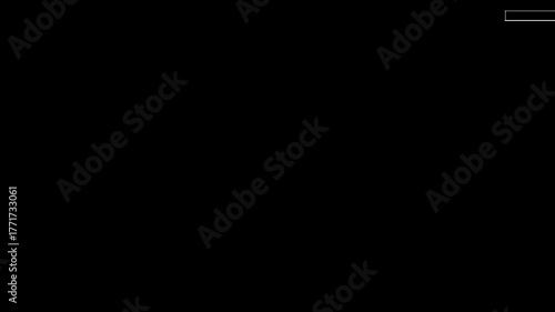 Black and White Glitch Overlay Footage with Distorted Visual Effects