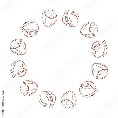 Circular frame with hazelnut arranged on a white background in a line art style illustration.