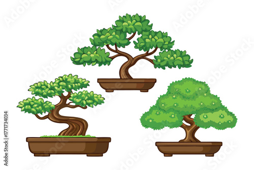 Bonsai Trees Collection: Showcase the art of bonsai, displaying meticulously shaped miniature trees within elegant planters, symbolizing harmony and serenity