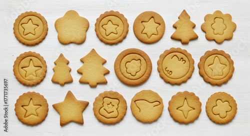 A delicious assortment of freshly baked cookies in various festive shapes.