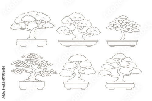 Artful Bonsai Ensemble: Showcase a collection of meticulously crafted bonsai trees, each miniature masterpiece sculpted with precision and artistry.