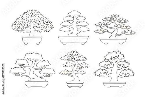 Bonsai trees illustrations: A collection of bonsai trees in various shapes, meticulously illustrated in a clean, elegant style, perfect for illustrating the artistry of bonsai cultivation.
