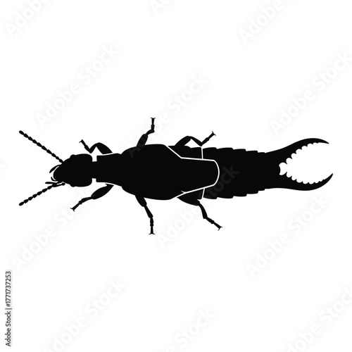 Silhouette of an earwig black vector illustration of an insect with pincers, antennae, and six legs on a
