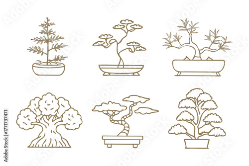 Bonsai Collection: A collection of bonsai, meticulously crafted miniature trees, displayed in elegant pots and exuding serenity and the art of cultivation.