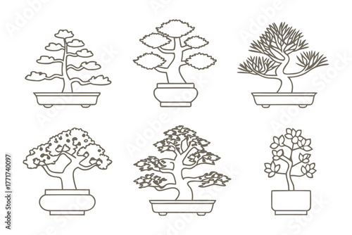 Zen Garden Collection: Showcasing a set of intricately designed bonsai trees, representing tranquility and nature's artistry. Each miniature marvel stands in its own ceramic pot.