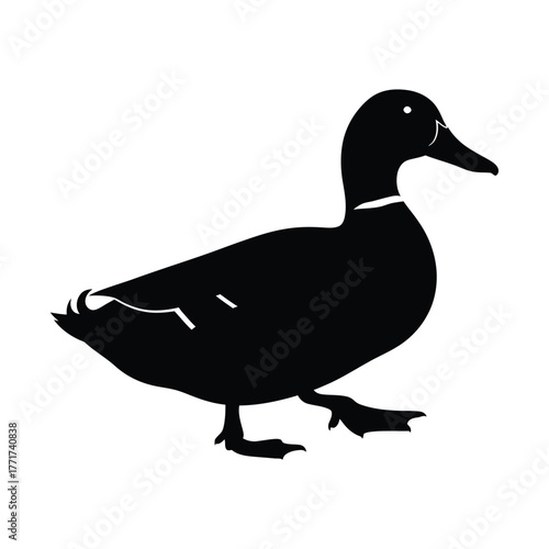 Silhouette of a duck walking, , showcasing its distinctive bill and webbed feet, a simple yet elegant representation of waterfowl