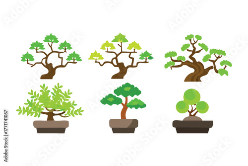Bonsai Trees: Collection of stylized miniature trees showcased in various meticulously designed planters, illustrating the art and tranquility of bonsai cultivation.