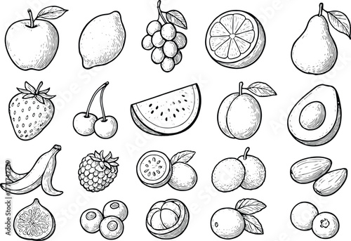 Hand drawn fruit doodle set featuring apple, orange, banana, strawberry, avocado, watermelon, and other tropical fruits illustration