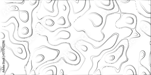 Organic contour lines in grayscale with a bright white background, evoking a clean and modern abstract topographic map design element