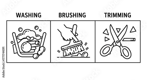 Grooming process for pets or textiles with washing brushing and trimming.