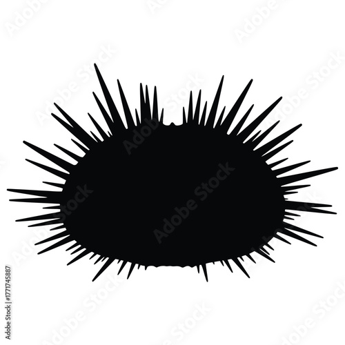Silhouette of a sea urchin, showcasing its spiky exterior and round shape, a marine invertebrate found in oceans worldwide