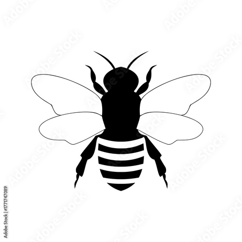 Honey bee silhouette icon isolated on white background
