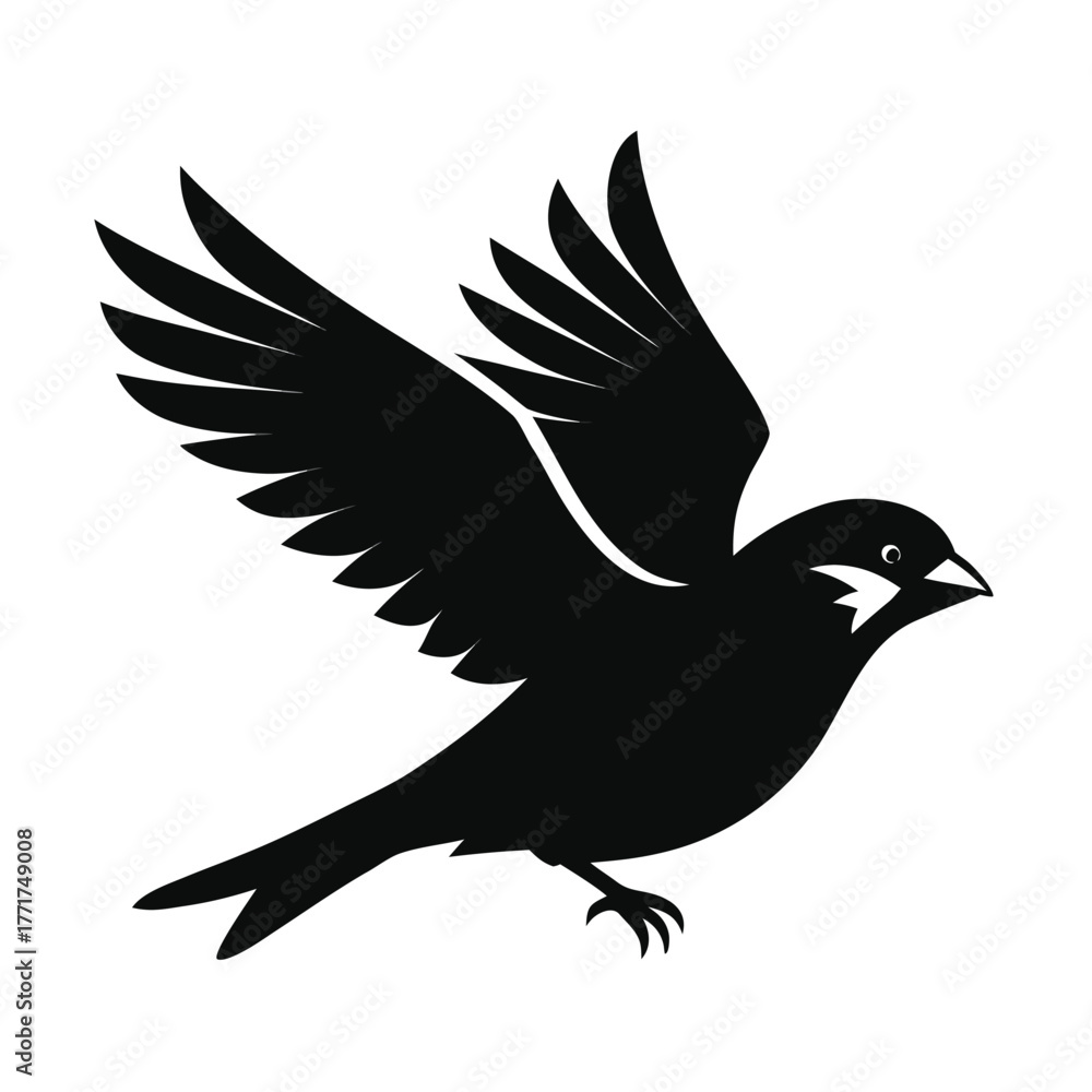 Obraz premium Silhouette of a bird in flight with wings spread wide