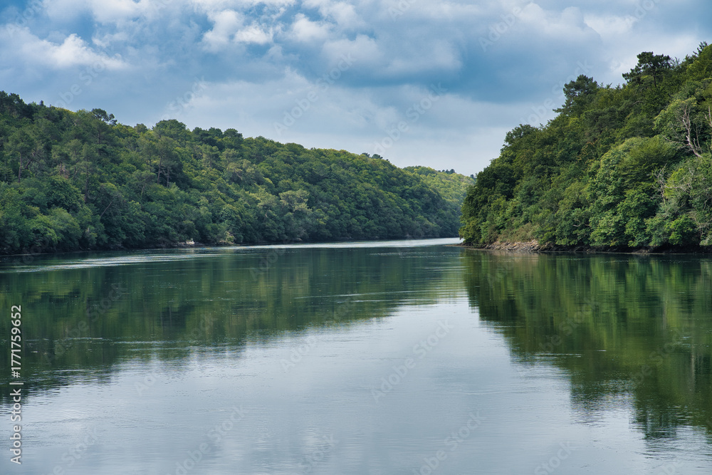Obraz premium A river with a forest on either side