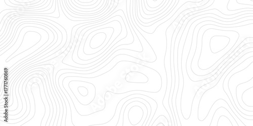 white background displays topographic contour lines, creating abstract pattern suitable for various design applications	