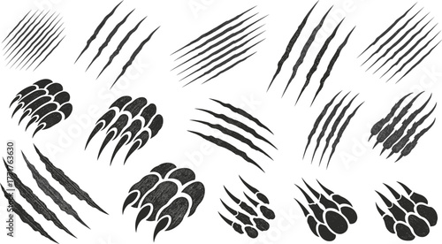 Claw mark silhouettes, wild animal scratches, horror slashes, paw print graphics, aggressive textures, beast tracks, spooky design, vector illustration, abstract elements