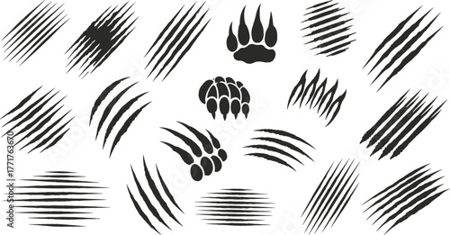 Claw marks, paw prints, wild animal scratches, horror slashes, beast tracks, aggressive textures, spooky silhouettes, vector illustration, abstract graphic elements