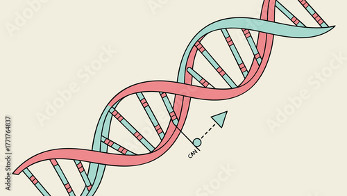 Colorful DNA strand illustration for scientific and medical content, perfect for educational materials or presentations needing a modern, engaging touch