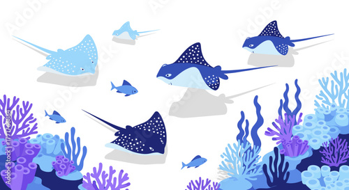 Underwater scene with spotted manta rays and corals