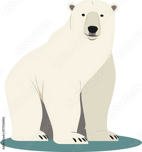 Polar bear vector illustration