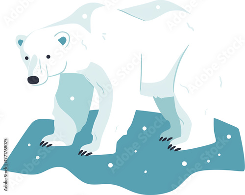 Polar bear vector illustration