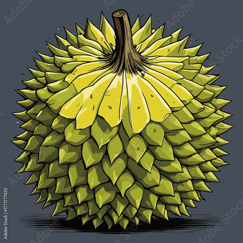 realistic durian fruit vector