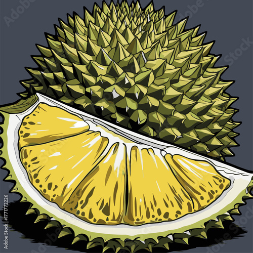 realistic durian fruit vector