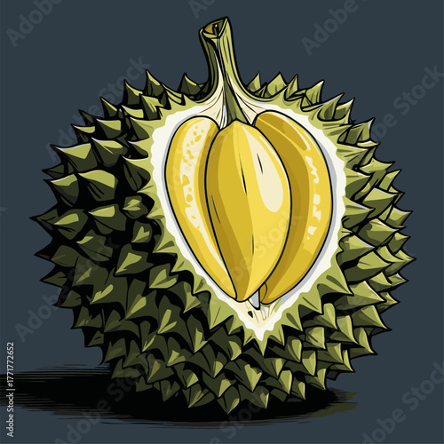 realistic durian fruit vector