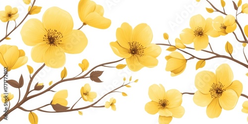Yellow flowers isolated on whit