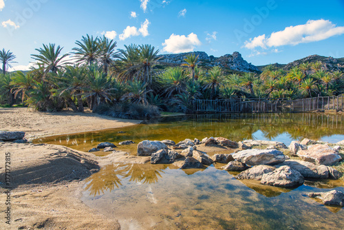 Fototapeta Naklejka Na Ścianę i Meble -  Serene tropical beach with palm trees with sea view