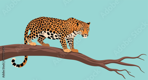 Cheetah on a Branch