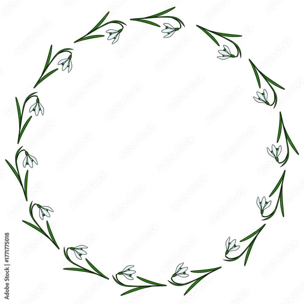 Obraz premium A delicate circular frame composed of blooming snowdrop flowers and slender green leaves, presented as a clean vector illustration.