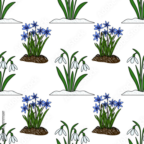 Seamless vector pattern of blooming snowdrops and blue scilla flowers emerging from the snow, representing early spring awakening.