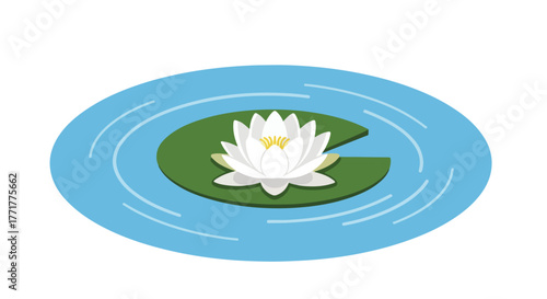 Flat illustration of a white water lily on a green lily pad floating in blue water