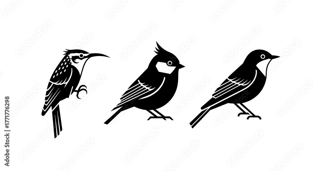Fototapeta premium Three stylized black silhouettes of different small birds on a white background.
