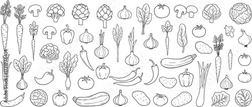 vegetables, food, farming, harvest, organic, healthy, nutrition, cooking, kitchen, diet, fresh, garden, natural, grocery, produce, artwork