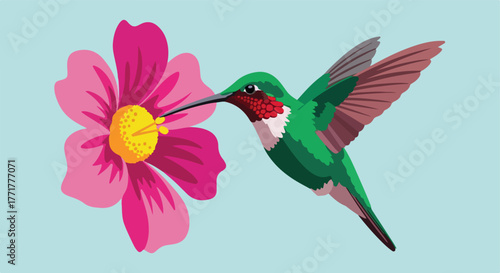 Hummingbird approaching a pink flower