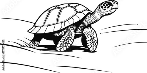Turtle walking on sand, single continuous line drawing, minimal black lines, clean vector contour 2