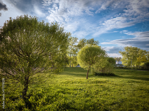 Sun-drenched spring park with lush green grass, leafy trees, and a bright blue sky — ideal for nature, tranquility, urban green space, and seasonal lifestyle themes.