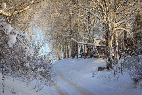 A winding snow-covered road leads through a serene, sun-drenched winter forest of frosty birch trees toward a cozy wooden cabin, capturing the tranquil beauty and quiet charm of a rural winter day.