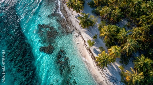 Fototapeta Naklejka Na Ścianę i Meble -  Aerial view of a beautiful beach with crystal clear waters