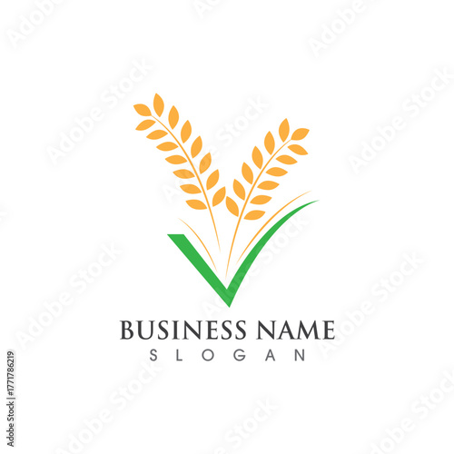 Agriculture wheat logo and symbol